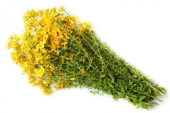 Orta yaşlı erkeklerin gücünü artırmaya yardımcı olan St. John's wort